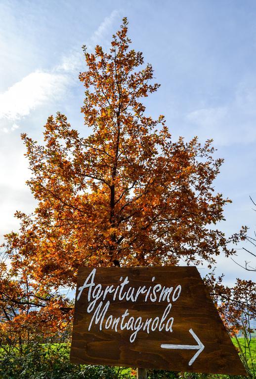 Villa Agriturismo Montagnola Abruzzo à Casalanguida Extérieur photo