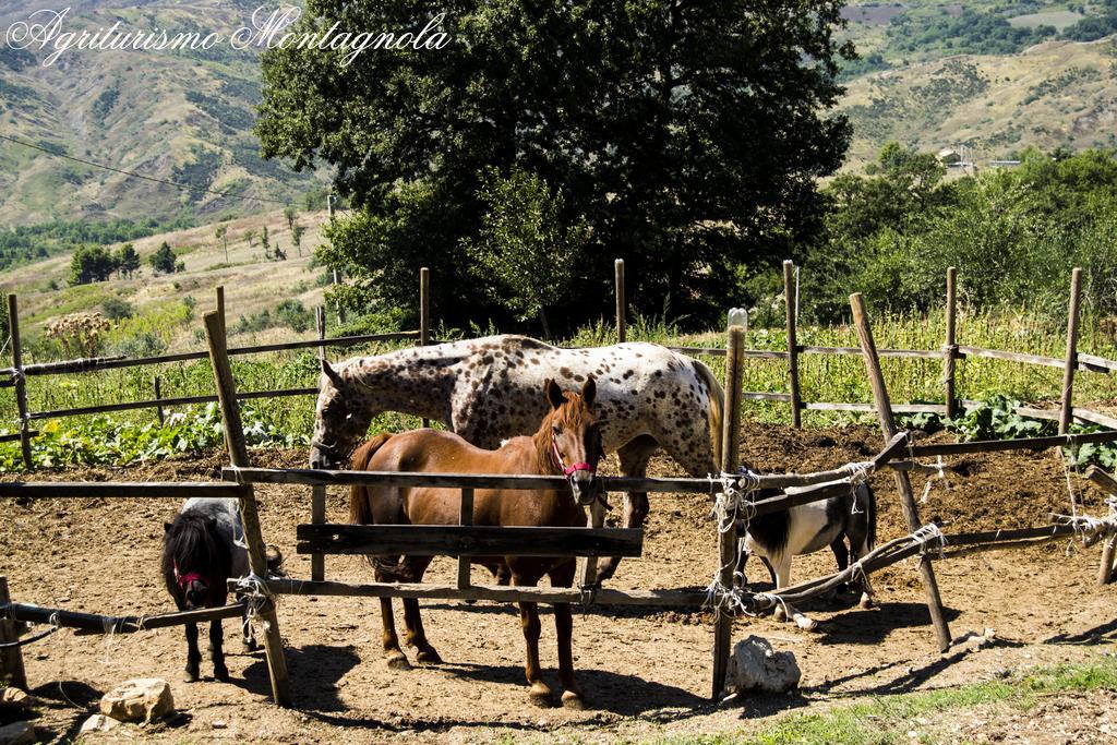 Villa Agriturismo Montagnola Abruzzo à Casalanguida Extérieur photo