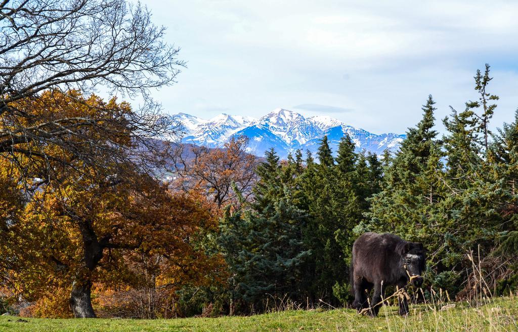 Villa Agriturismo Montagnola Abruzzo à Casalanguida Extérieur photo